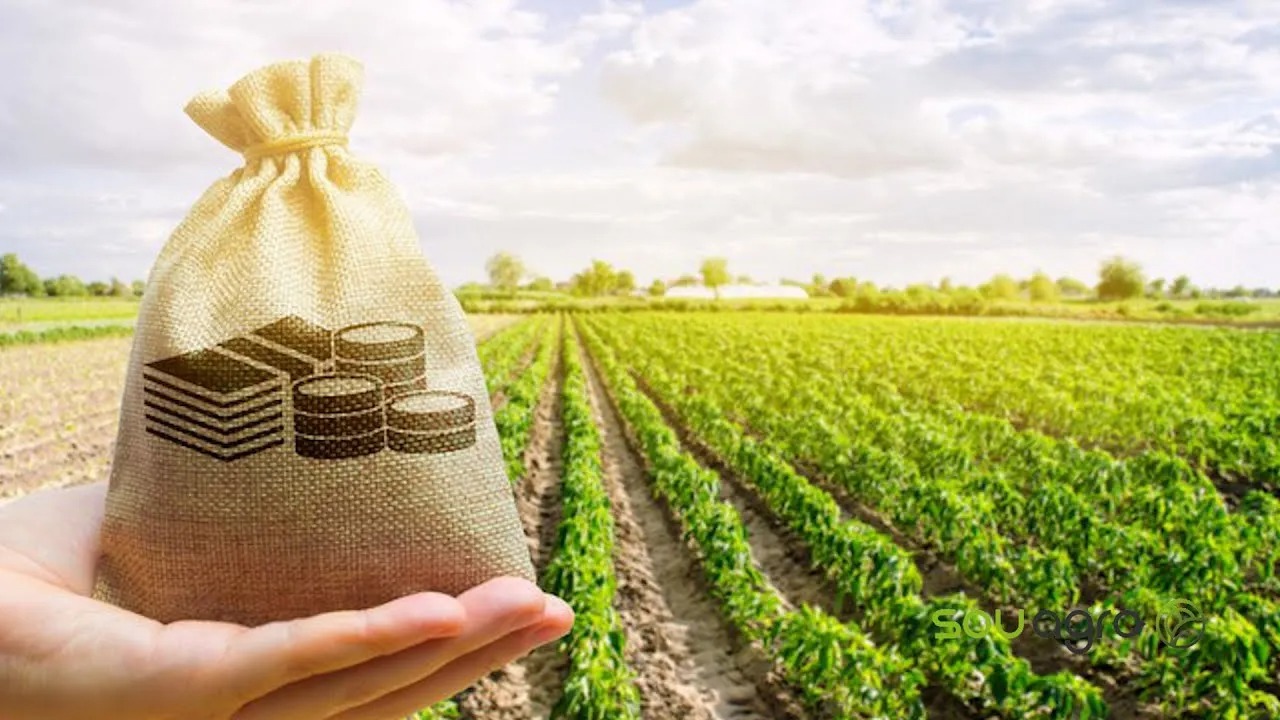 Plano Safra do Paraná: governo anuncia pacote de incentivo destinado a agricultores
